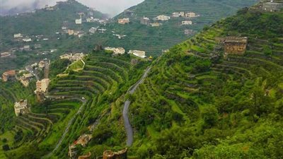 تفسير حلم الجبال الخضراء في المنام علامة على مكاسب مادية ومعنوية قريبة