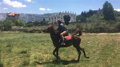 تفسير حلم السفر على حصان في المنام للبنت العزباء والمتزوجة