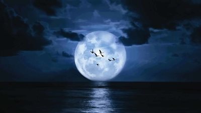 القمر الأزرق العملاق «سماء مصر تنتظر ظاهرة كونية نادرة في هذا الموعد» 