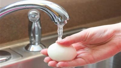 تعرفي على مخاطر غسل البيض وطرق حفظه