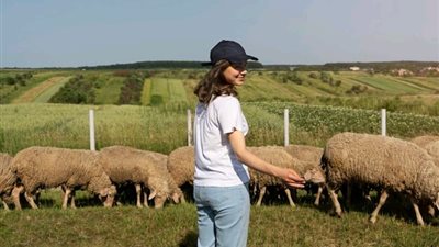 تفسير رؤية الراعي وحلم رعي الغنم