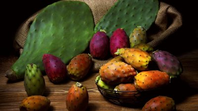 5 فوائد لتناول التين الشوكي على الريق 