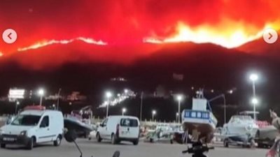 حريق هائل في غابات الجزائر والنيران تهدد المناطق السكنية (فيديو)