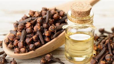 3 فوائد لتناول القرنفل «يعالج الجهاز التنفسي»