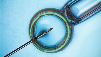 المفتي: الحقن المجهري وتحديد نوع الجنين جائز شرعا «بشرط»