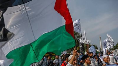 نجوم الرياضة يدعمون فلسطين حول العالم 