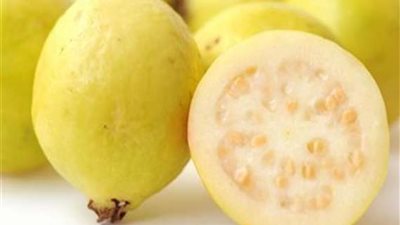 في موسمها| 10 فوائد لتناول الجوافة تجعلها خيارك الأول