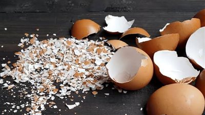 5 فوائد لقشر البيض «هتعالجي شعرك وأسنانك»   