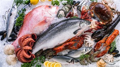 ما حكم أكل حيوانات البحر غير الأسماك؟ الإفتاء تُجيب