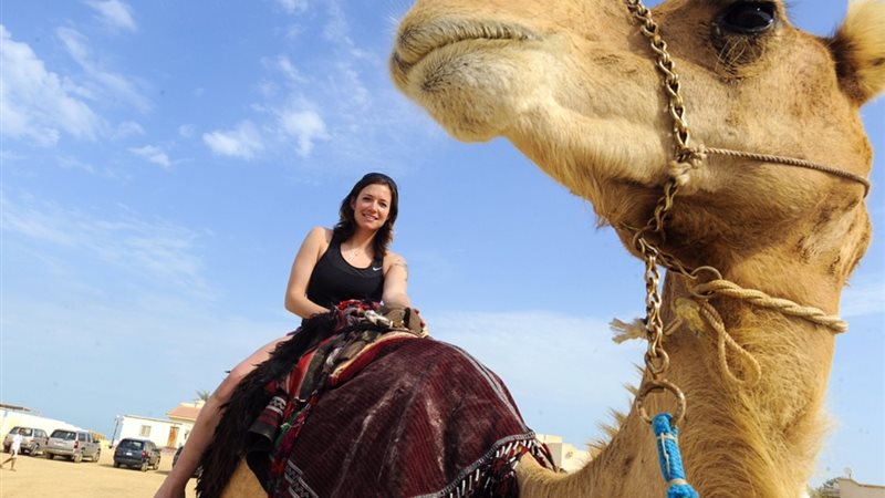 تفسير حلم ركوب الجمل