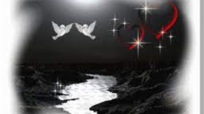 نعيمة المطلق | كاتبة سعودية حاربت الفساد الإداري والمالي