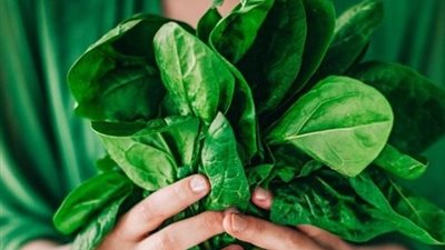 4 فوائد للسبانخ لتعزيز المناعة وحماية النظر