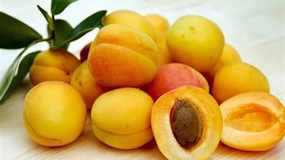 3 فوائد للمشمش تجعلك لا تستغني عنه