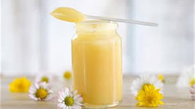 7 فوائد خارقة لتناول غذاء ملكات النحل «يحارب السرطان»