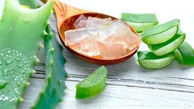 لمرضى السكر.. 3 فوائد للصبار تحسن حالتك الصحية