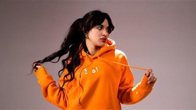 5 اتهامات تواجه سوزي الأردنية صاحبة تريند الشارع إللي وراه والعقوبات المنتظرة