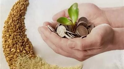 قيمة زكاة الفطر وموعد إخراجها في رمضان 2024