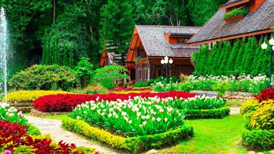 تفسير رؤية الحديقة في المنام «بشارة بأخبار مفرحة»