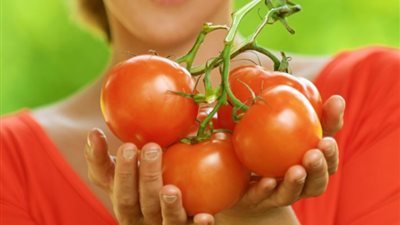 تفسير رؤية الطماطم في المنام «بشارة بالخير الوفير»