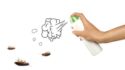 طرق سحرية للتخلص من الصراصير والنمل في المنزل (إنفوجراف)