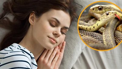 رأيت أني قتلت ثعبان في المنام «ما تفسير الحلم؟»