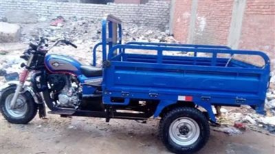 القبض على المتهم بقتل طفل في البحيرة لسرقة التروسيكل الخاص به