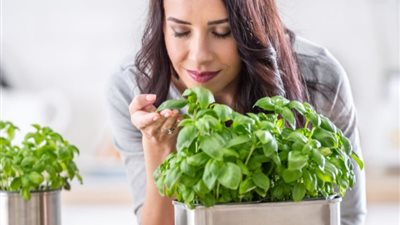 تفسير رؤية الريحان  في المنام «بشارة بتحقيق الأهداف»