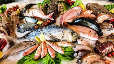 انخفاض أسعار الأسماك اليوم الإثنين 22-4-2024