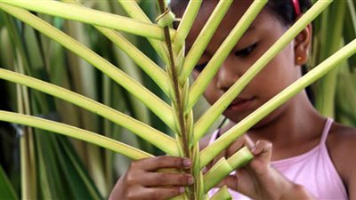 ما هو أحد السعف وكيف يحتفل الأقباط به؟