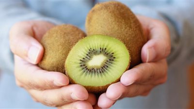 تفسير رؤية الكيوي في المنام لابن سيرين 