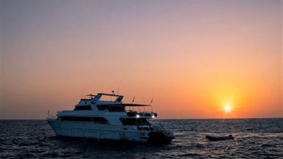 7 معلومات عن جزيرة الأخوين «جنة العالم الصامت وقبلة الغوص» (صور) 