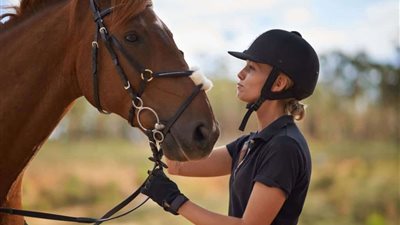 تفسير رؤية الحصان في المنام لابن سيرين