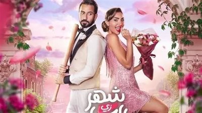 دعاوي الإيقاف تطارد نور الغندور من «زوجة واحدة لا تكفي إلى شهر زي العسل»  