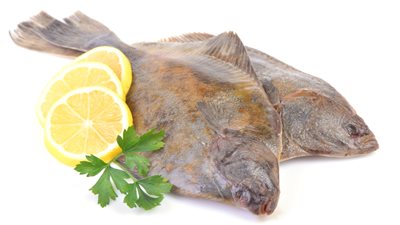  تفسير رؤية السمك  في المنام «بشارة بالخير الوفير»