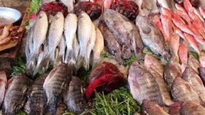   أسعار الأسماك والجمبري اليوم السبت 4 مايو 2024 في الأسواق المصرية 