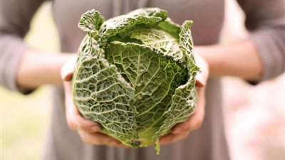  تفسير رؤية الكرنب في المنام للعزباء والمتزوجة