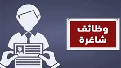 وظائف الشباب والرياضة.. الشروط والأوراق المطلوبة وطرق التقديم