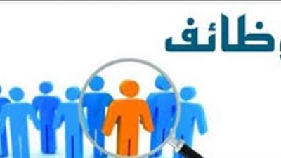 تفاصيل وشروط التقديم لوظائف وزارة الشباب والرياضة