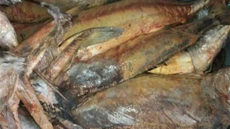 فت ممنوعة من تناول